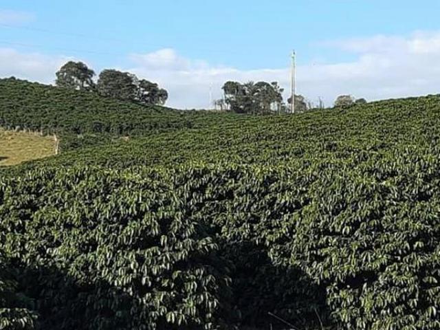 Sítio e chácara venda em Região Geográfica Imediata de Varginha, São Gonçalo do Sapucaí