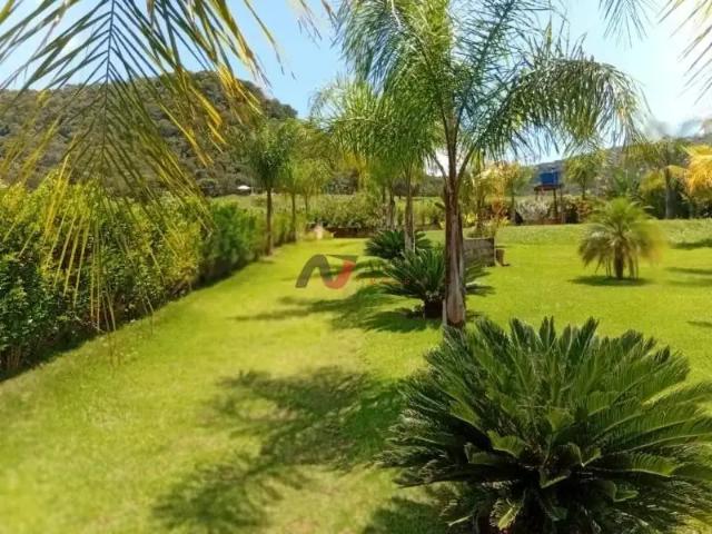 Fazenda venda em Região Imediata de Franca, Rifaina