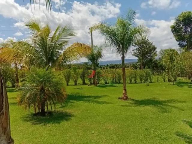 Fazenda venda em Região Imediata de Franca, Rifaina