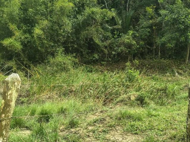 Fazenda venda em Rio Bonito
