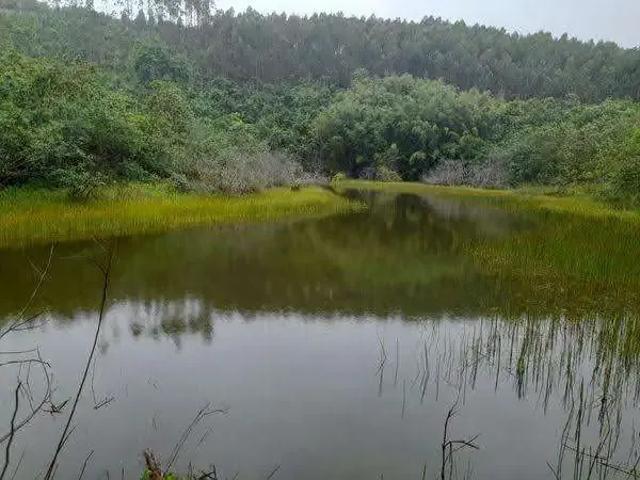 Fazenda venda em Região Geográfica Imediata de Rio Bonito, Região Metropolitana do Rio de Janeiro