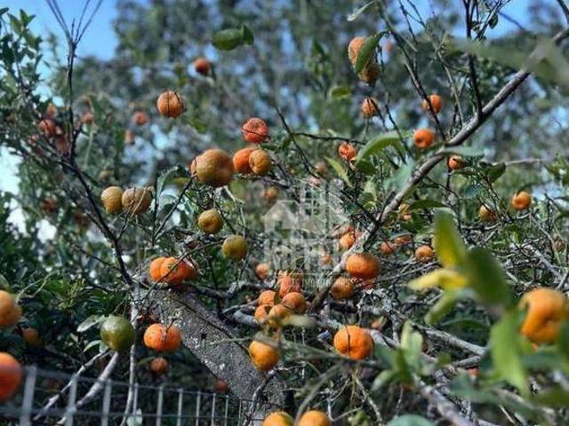 Fazenda venda em Rio Bonito
