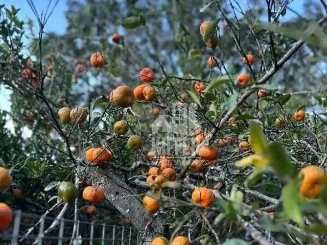 Fazenda venda em Região Geográfica Imediata de Rio Bonito, Região Metropolitana do Rio de Janeiro
