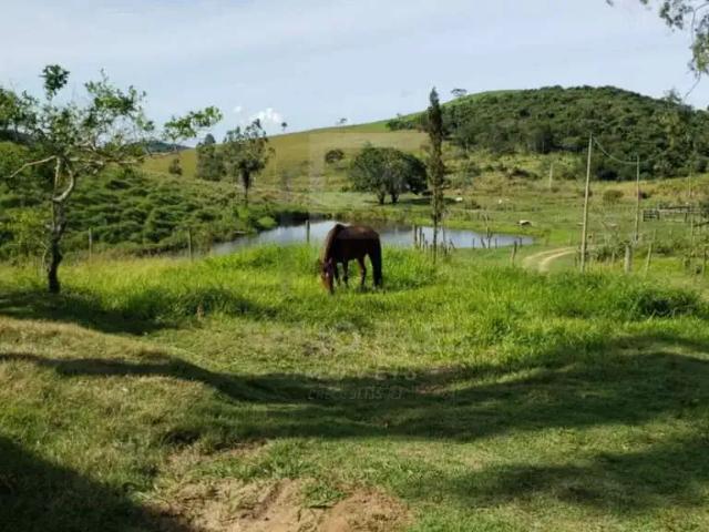 Fazenda venda em Região Geográfica Imediata de Rio Bonito, Região Metropolitana do Rio de Janeiro
