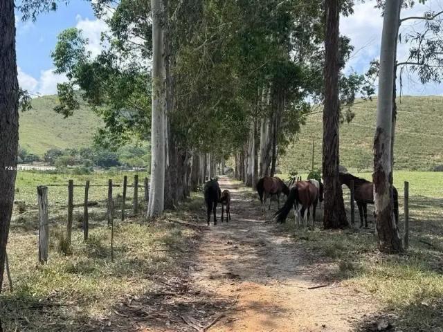 Fazenda venda em Região Geográfica Imediata de Rio Bonito, Região Metropolitana do Rio de Janeiro