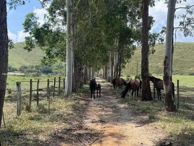 Fazenda venda em Região Geográfica Imediata de Rio Bonito, Região Metropolitana do Rio de Janeiro