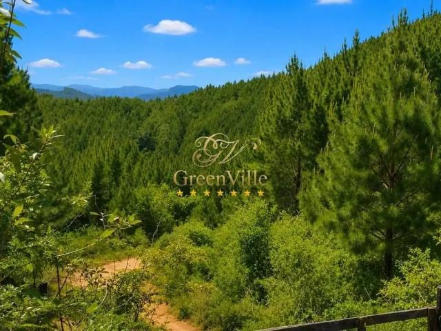 Fazenda venda em Região Geográfica Imediata de Curitiba, Região Metropolitana de Curitiba