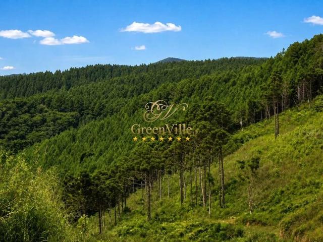 Fazenda venda em Rio Branco do Sul, Região Geográfica Intermediária de Curitiba