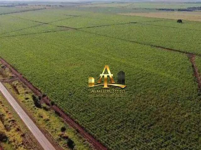 Fazenda venda em Região Geográfica Imediata de Dourados, Rio Brilhante