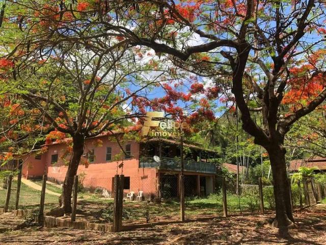 Fazenda venda em Região Geográfica Imediata de Ponte Nova, Rio Casca