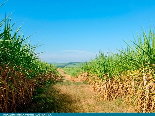 Fazenda venda em Rio das Pedras, Região Geográfica Intermediária de Campinas