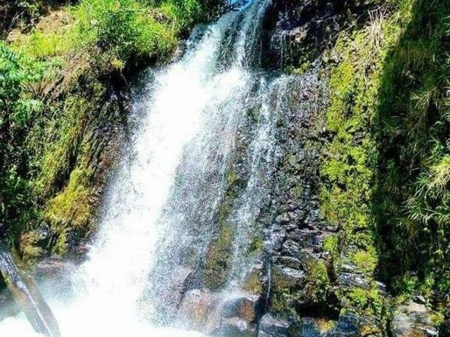 Sítio e chácara venda em Morada do Rio II, Santa Luzia