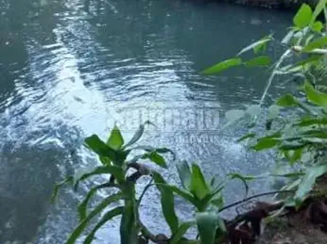 Fazenda venda em Região Geográfica Imediata do Rio de Janeiro, Região Metropolitana do Rio de Janeiro