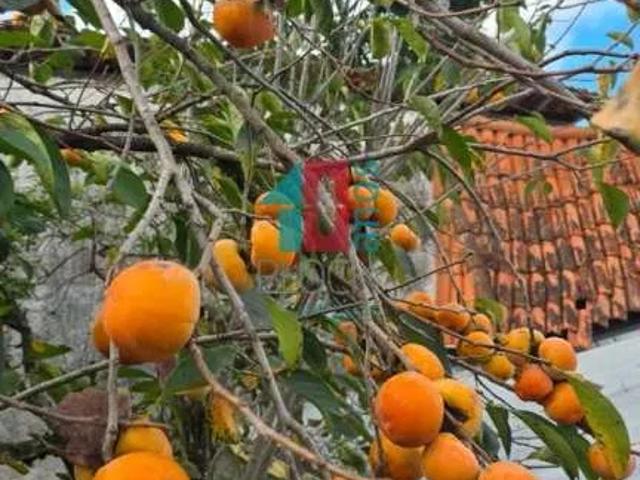 Fazenda venda em Jacarepaguá, Rio de Janeiro