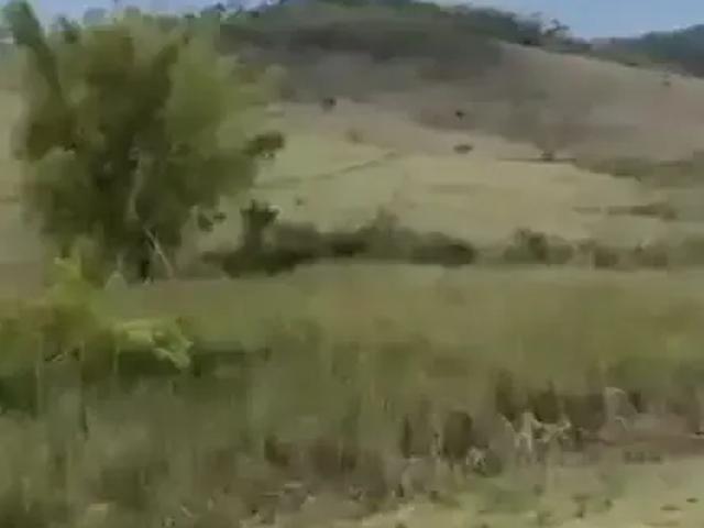 Fazenda venda em Região Geográfica Imediata de Conselheiro Lafaiete, Rio Espera