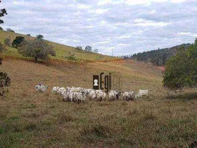 Fazenda venda em Região Geográfica Imediata de Juiz de Fora, Rio Novo