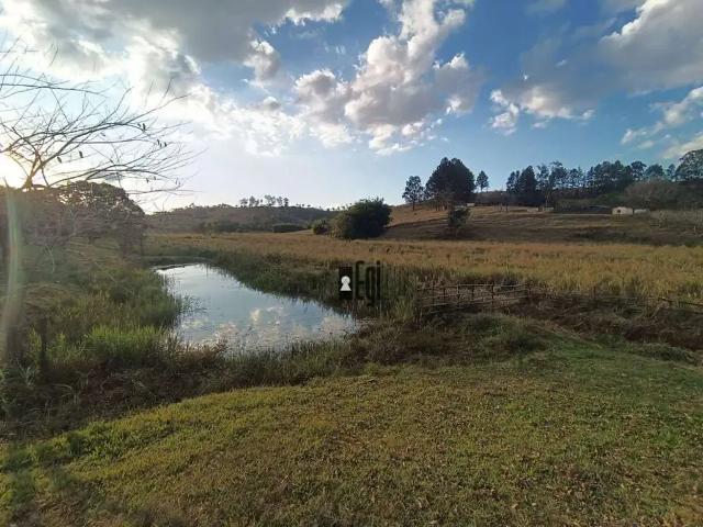 Fazenda venda em Região Geográfica Imediata de Juiz de Fora, Rio Novo