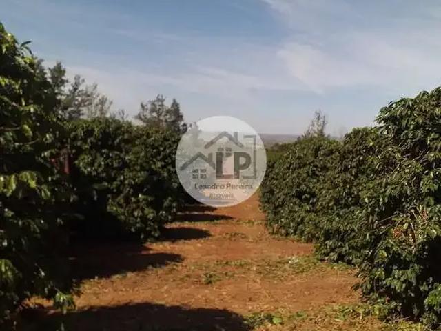 Fazenda venda em Região Geográfica Imediata de Patos de Minas, Rio Paranaíba