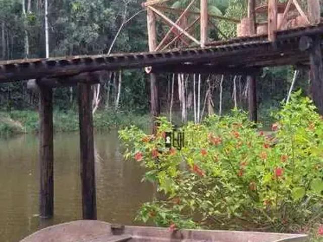 Fazenda venda em Região Geográfica Imediata de Ubá, Rio Pomba