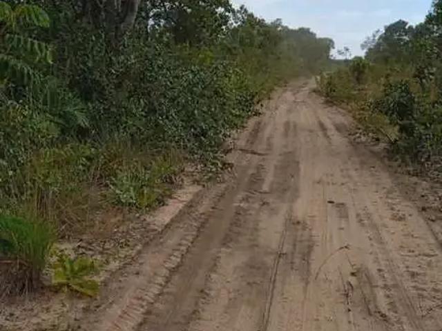 Fazenda venda em Região Geográfica Imediata de Palmas, Rio Sono