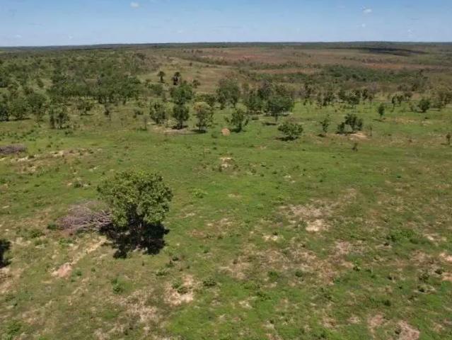 Fazenda venda em Região Geográfica Imediata de Palmas, Rio Sono