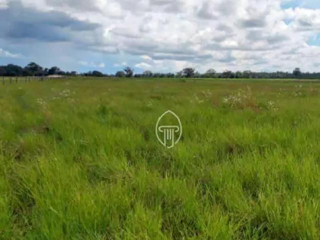 Fazenda venda em Região Geográfica Imediata de Coxim, Rio Verde de Mato Grosso
