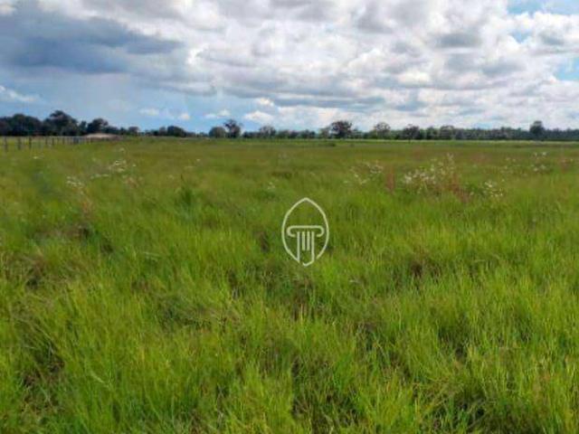 Fazenda venda em Rio Verde de Mato Grosso