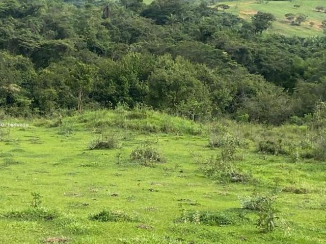 Sítio e chácara venda em Região Geográfica Imediata de São João del Rei, Ritápolis
