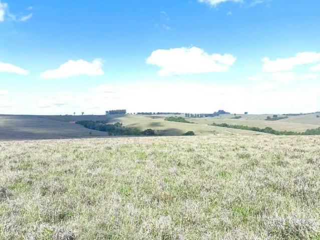 Fazenda venda em Região Imediata de Itapeva, Riversul