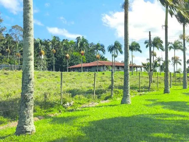 Fazenda venda em Região Imediata de Itapeva, Riversul