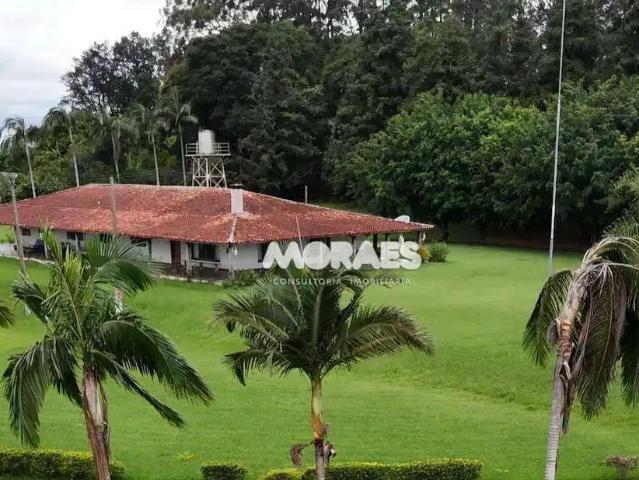 Fazenda venda em Região Imediata de Itapeva, Riversul