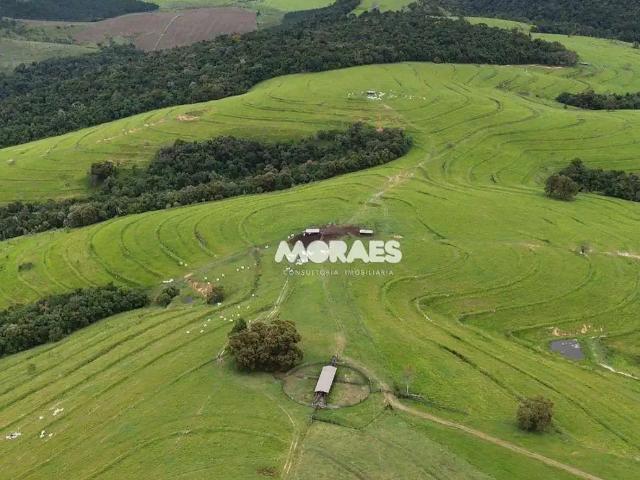 Fazenda venda em Região Imediata de Itapeva, Riversul