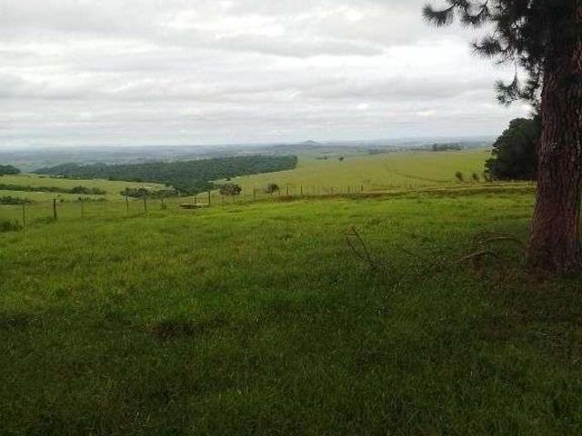 Fazenda venda em Região Imediata de Itapeva, Riversul