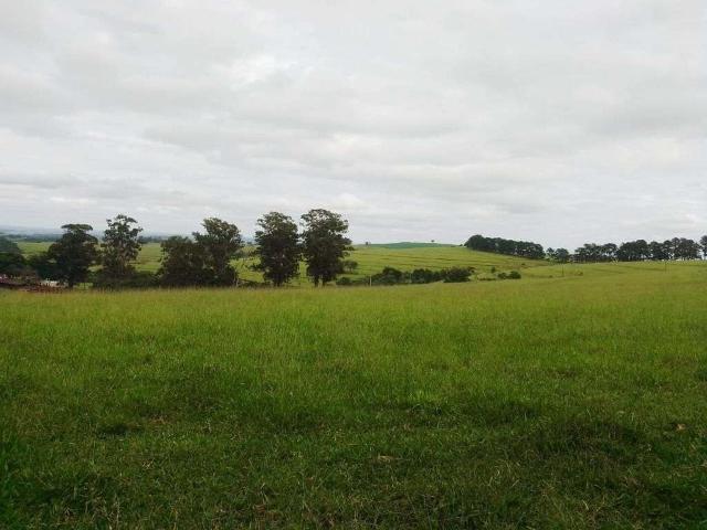 Fazenda venda em Região Imediata de Itapeva, Riversul