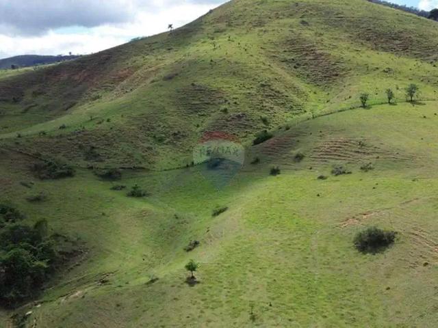 Fazenda venda em Região Geográfica Imediata de São João Nepomuceno - Bicas, Rochedo de Minas