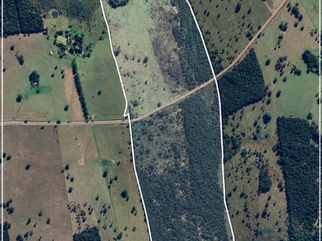 Fazenda venda em Região Geográfica Imediata de Campo Grande, Rochedo