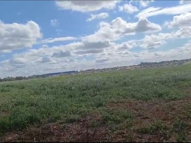 Sítio e chácara venda em Região Geográfica Imediata de Londrina, Rolândia