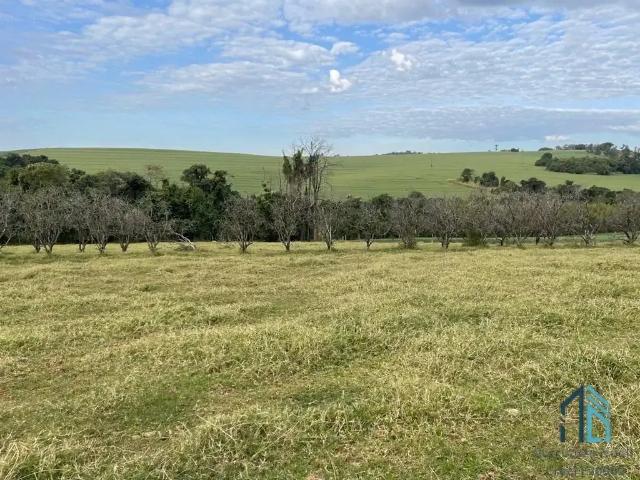 Fazenda venda em Região Geográfica Imediata de Londrina, Rolândia