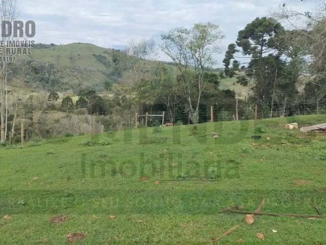 Fazenda venda em Região Geográfica Imediata de Campo Mourão, Roncador