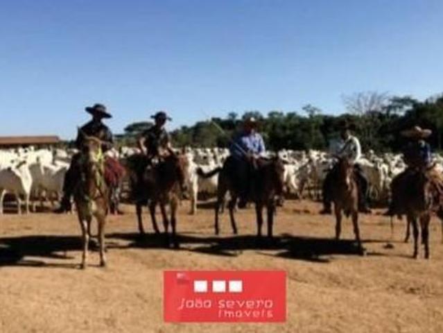 Sítio e chácara venda em Região Geográfica Imediata de Juína, Rondolândia