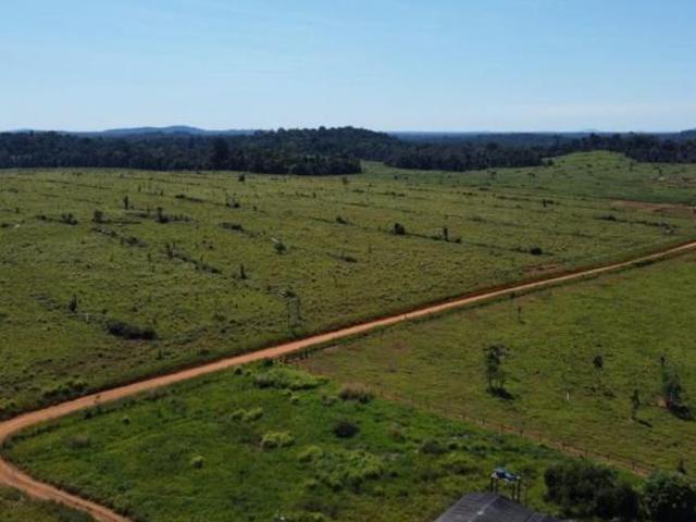 Sítio e chácara venda em Região Geográfica Imediata de Juína, Rondolândia