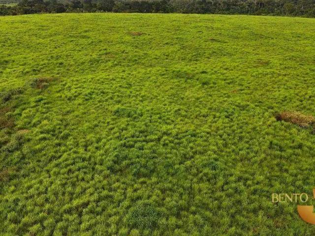 Fazenda venda em Região Geográfica Imediata de Juína, Rondolândia