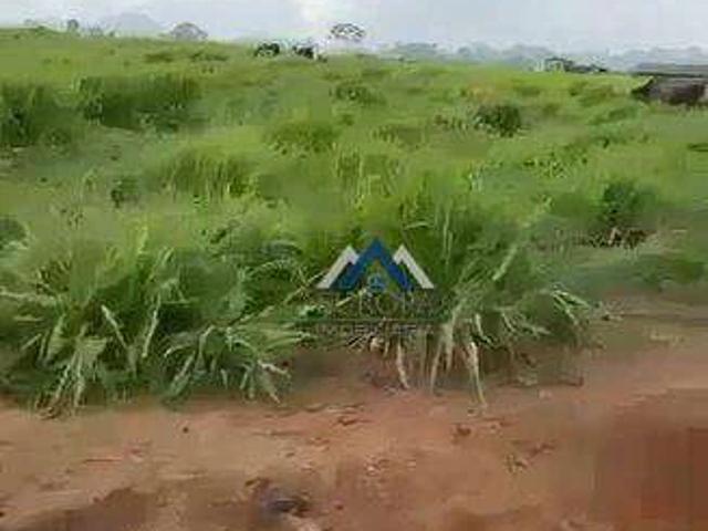Fazenda venda em Rondolândia, Região Geográfica Intermediária de Sinop