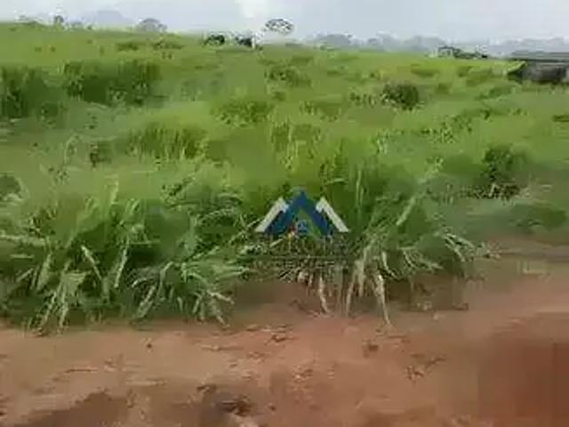 Fazenda venda em Região Geográfica Imediata de Juína, Rondolândia