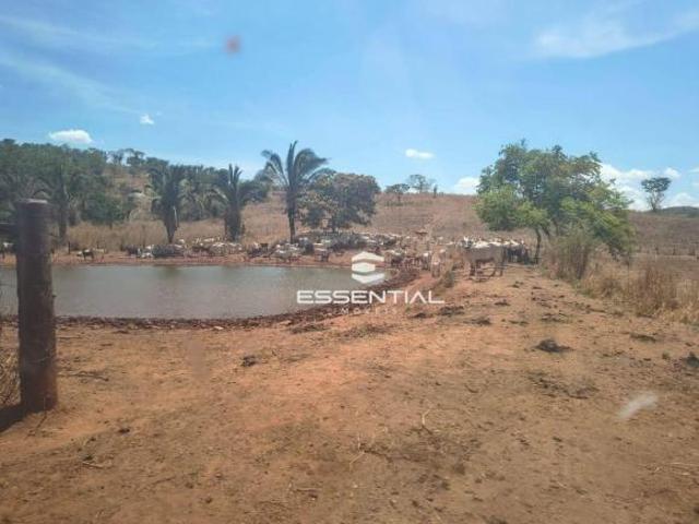 Sítio e chácara venda em Região Geográfica Imediata de Rondonópolis, Rondonópolis