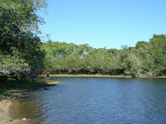 Sítio e chácara venda em Região Geográfica Imediata de Rondonópolis, Rondonópolis