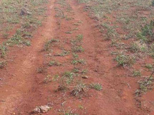 Fazenda venda em Loteamento Jambalaia, Rondonópolis
