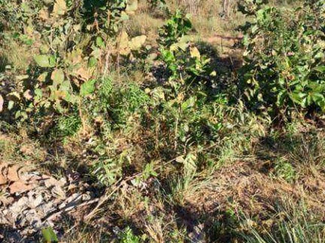 Fazenda venda em Loteamento Jambalaia, Rondonópolis