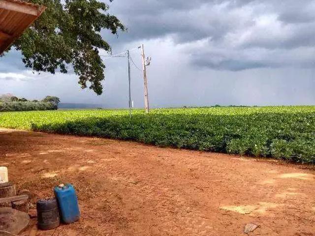 Fazenda venda em Região Geográfica Imediata de Rondonópolis, Rondonópolis