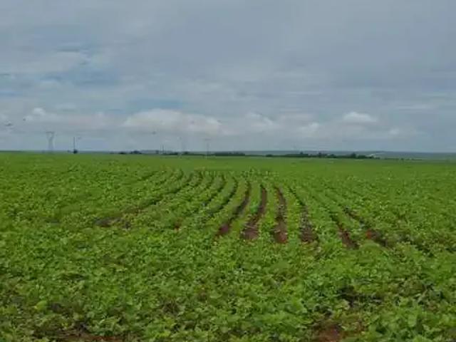 Fazenda venda em Região Geográfica Imediata de Rondonópolis, Rondonópolis